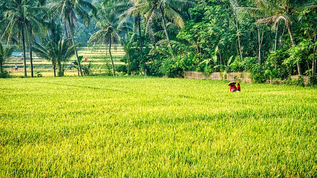 Crop Diversity Cluster: Cultivating Resilient Agriculture Through ...