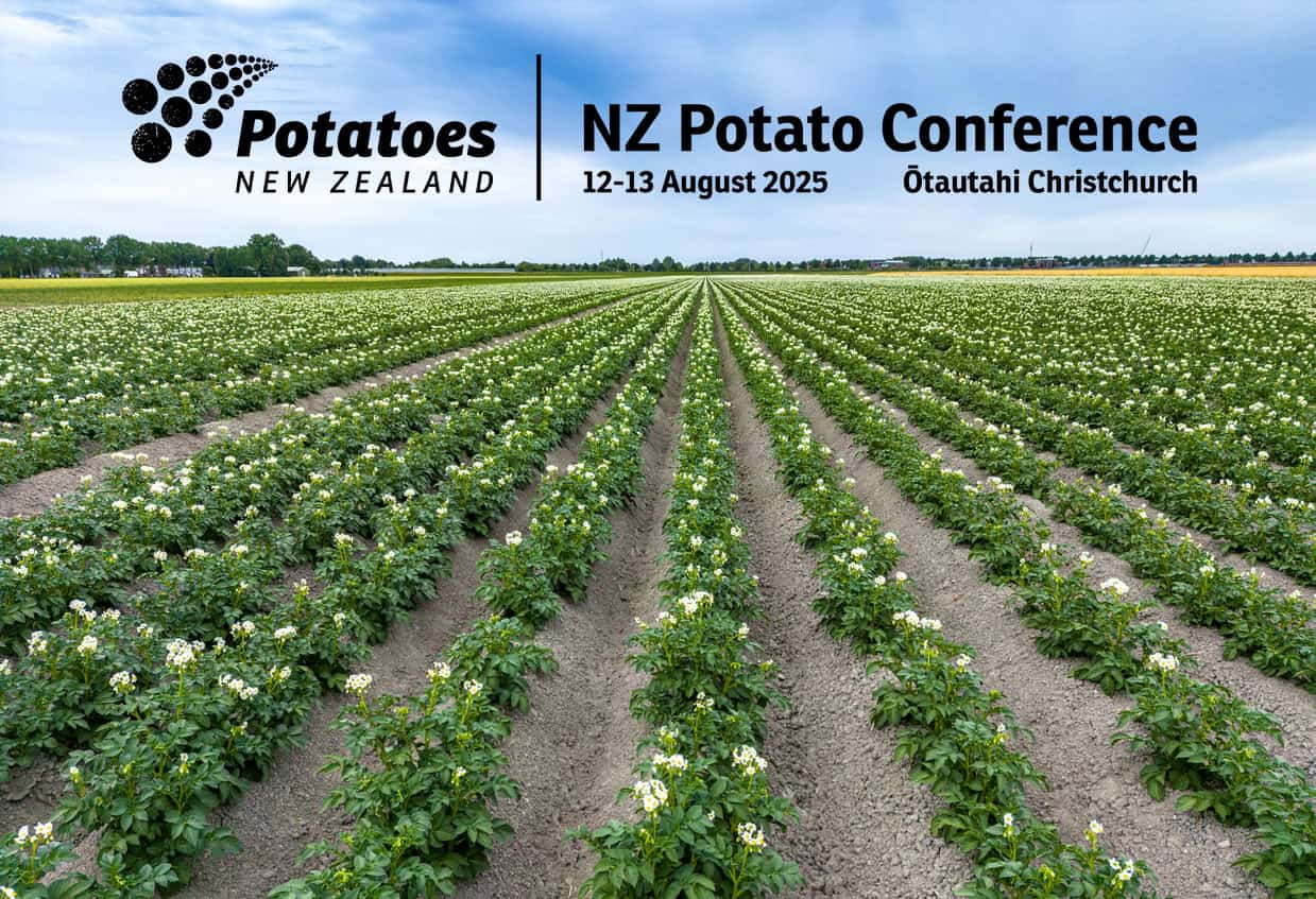 Potatoes New Zealand