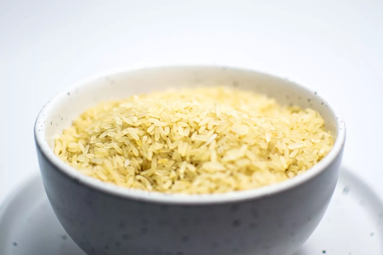 Premium Gold and Terra Ingredients Introduce Innovative Fonio Product Line to U.S. Retail Market