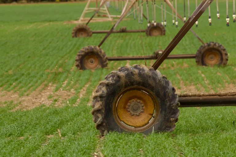 Pivot Bio Launches Pivot Pathways Grant to Support the Next Generation of Agriculture